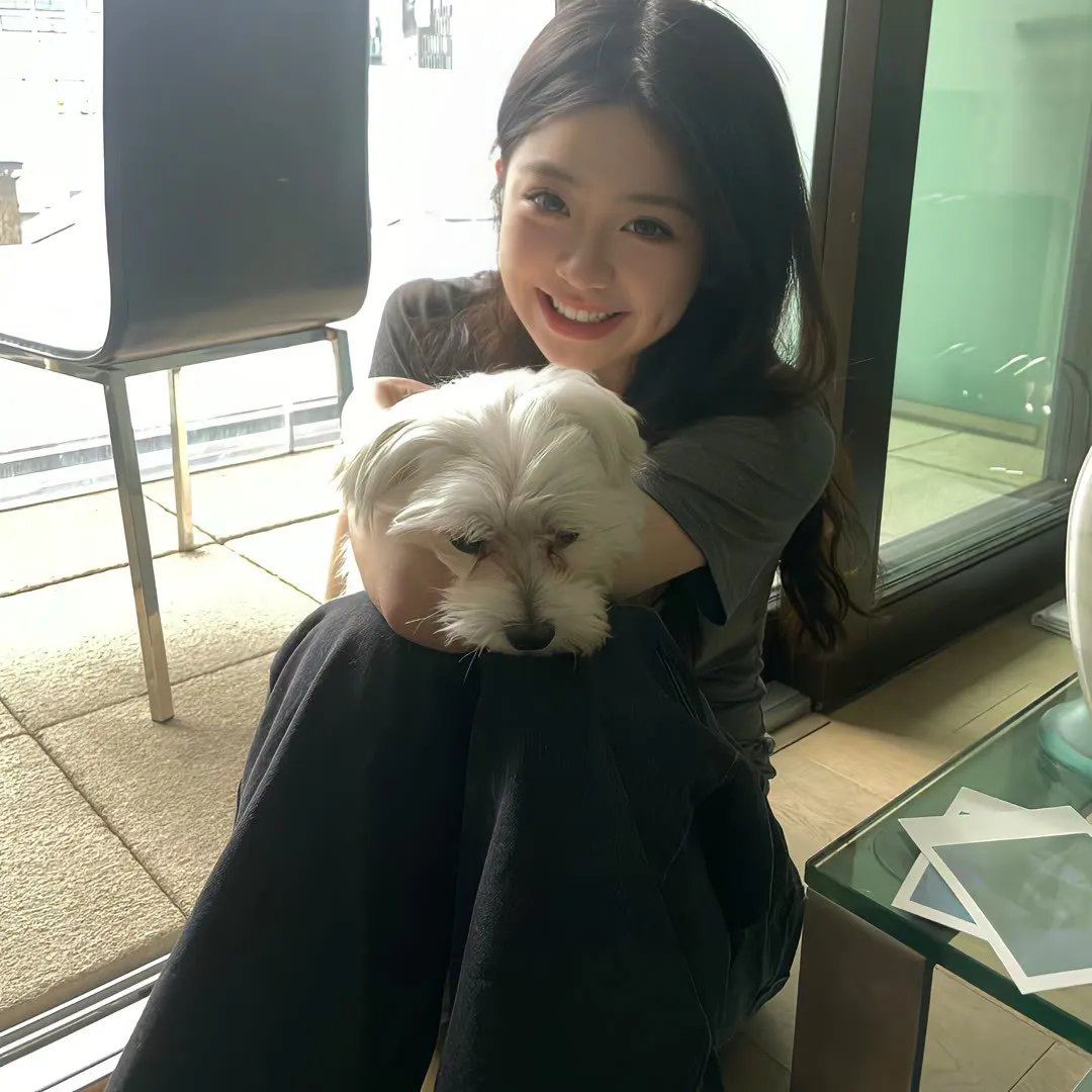 美国鼠谭3：寻宝记